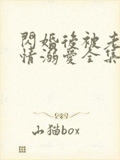 闪婚后被老公深情溺爱全集免费