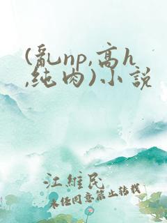 (乱np,高h,纯肉)小说