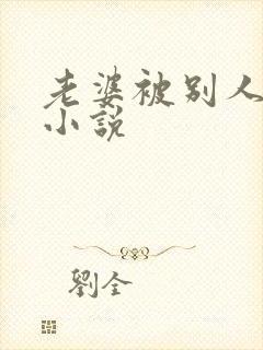 老婆被别人操的小说