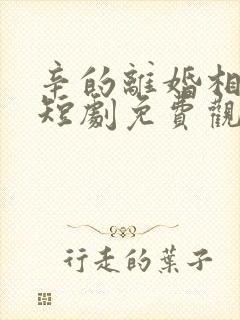 辛的离婚相遇时短剧免费观看全集