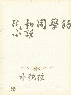 我和同学的母亲小说