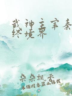 武神主宰秦尘最终境界