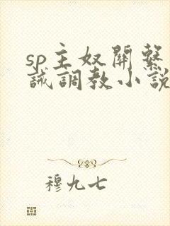 sp主奴关系训诫调教小说, 家奴