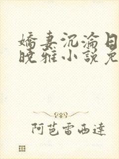 娇妻沉沦日记许晓雅小说免费阅读