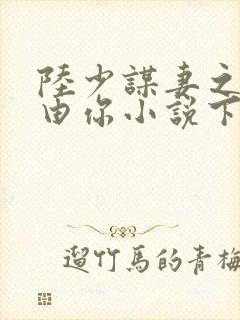 陆少谋妻之婚不由你小说下载txt