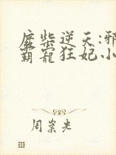 废柴逆天:邪王霸宠狂妃小说