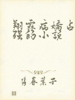 翔霖病娇占有欲强的小说