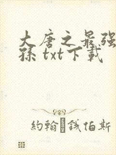 大唐之最强皇太孙 txt下载