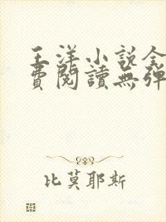 王洋小说全文免费阅读无弹窗