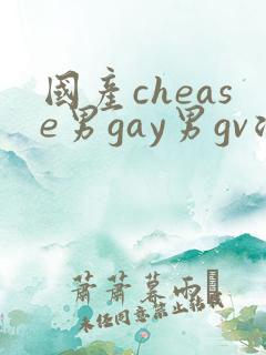 国产chease男gay男gv浪小辉