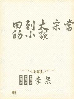 回到大宋当暴君的小说