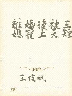 离婚后被三个儿媳宠上天短剧免费观