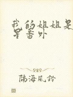 我的姐姐是大明星番外