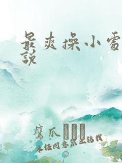 最爽操小处女小说