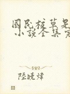 国民校草是女生 小说全集完整版txt