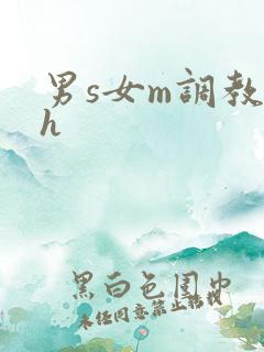 男s女m调教高h