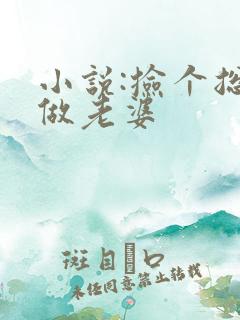 小说:捡个总裁做老婆