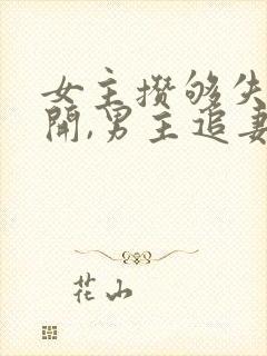 女主攒够失望离开,男主追妻火葬场