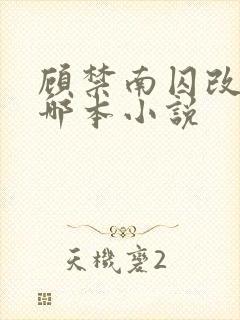 顾禁南囚改编自哪本小说