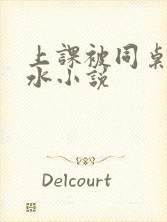 上课被同桌摸出水小说