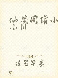 仙魔同修小说叶小川