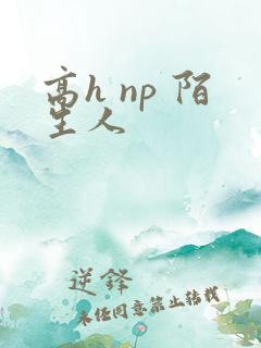 高h np 陌生人