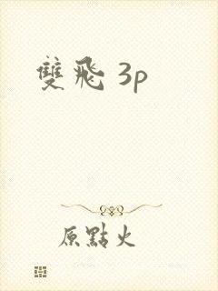 双飞 3p