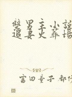 双男主小说短篇追妻火葬场