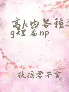 高h肉各种姿势g短篇np