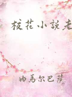 校花小说老头