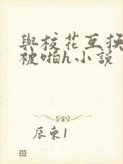 与校花互换身体被啪h小说