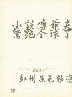 小说傅爷夫人又惊艳全球了免费