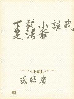 下载小说我真不是法爷