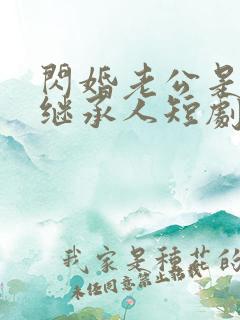 闪婚老公是豪门继承人短剧