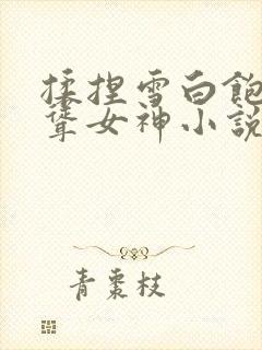 揉捏雪白饱满高耸女神小说