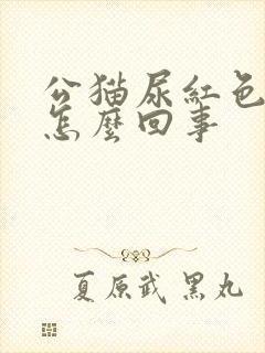 公猫尿红色的尿怎么回事