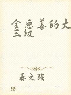 金惠善的大尺度三级