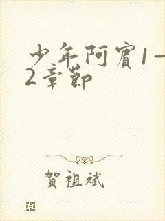 少年阿宾1—72章节