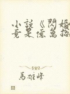 小说《闪婚老公竟是亿万总裁》