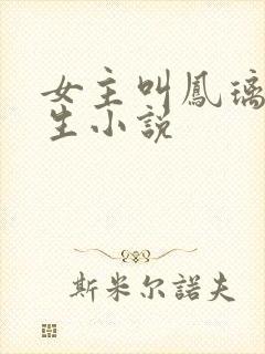 女主叫凤璃的重生小说