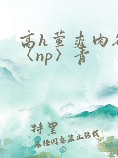 高h荤爽肉欲文〈np〉青