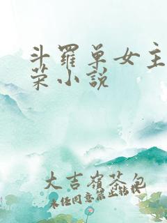 斗罗单女主宁荣荣小说