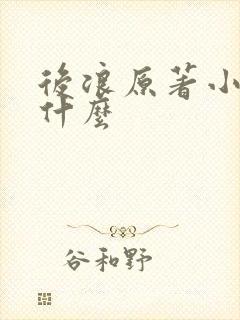 后浪原著小说叫什么