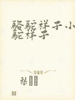 骆驼祥子小说骆驼祥子