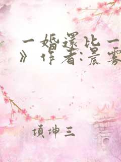 一婚还比一婚高》作者:晨雾的光