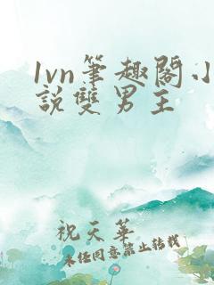 1vn笔趣阁小说双男主