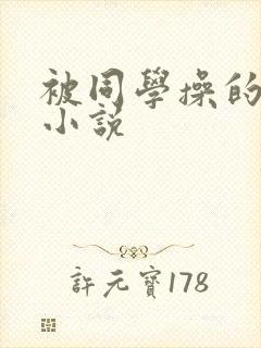 被同学操的妈妈小说