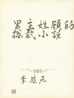 男主姓顾的现代总裁小说