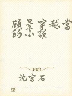 顾晨穿越当律师的小说