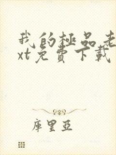 我的极品老婆txt免费下载